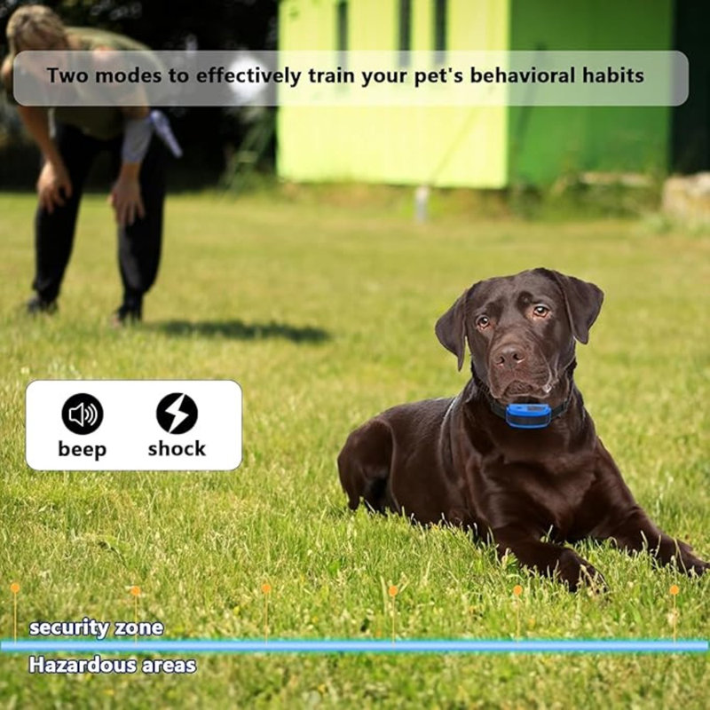 In ground dog fence clearance